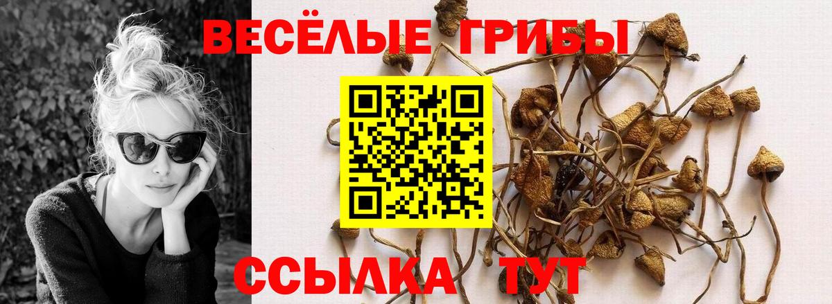 Протвино  Псилоцибиновые грибы мицелий  Вход с VPN 